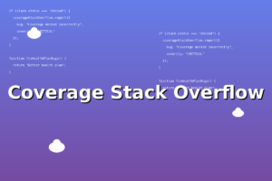 Coverage Stack Overflow - The Self-Funded CEO